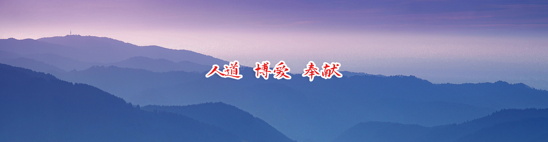 年检报告